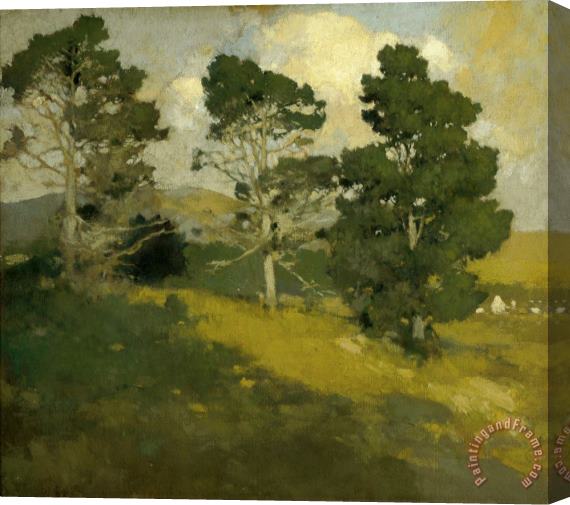 Arthur Frank Mathews Monterey Pines Stretched Canvas Print / Canvas Art