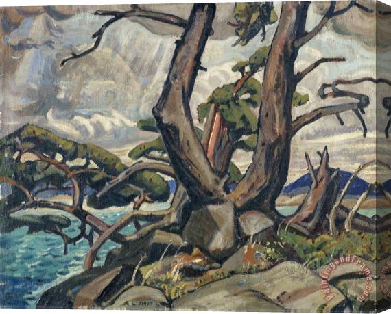 Arthur Lismer Old Pine, Mcgregor Bay Stretched Canvas Painting / Canvas Art
