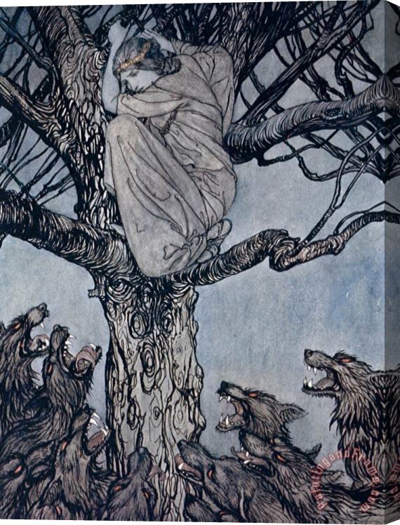 Arthur Rackham She Looked With Angry Woe At The Straining And Snarling Horde Below Illustration From Irish Fairy Stretched Canvas Print / Canvas Art