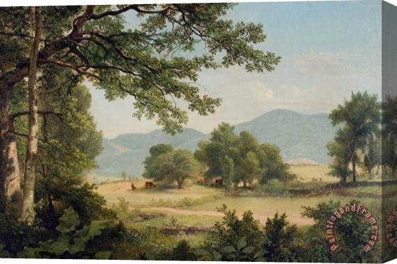 Asher Brown Durand Catskill Meadows In Summer Stretched Canvas Print / Canvas Art