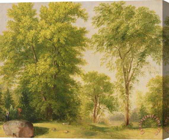 Asher Brown Durand Study from Nature - Hoboken Stretched Canvas Painting / Canvas Art