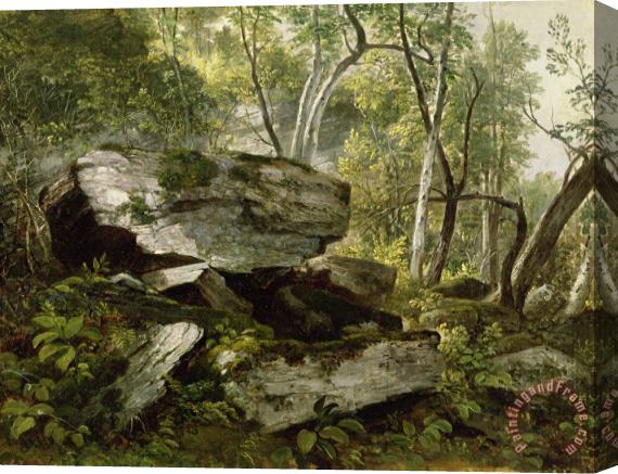 Asher Brown Durand Study from Nature - Rocks and Trees Stretched Canvas Painting / Canvas Art