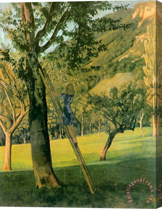 Balthasar Klossowski De Rola Balthus The Cherry Tree Stretched Canvas Print / Canvas Art