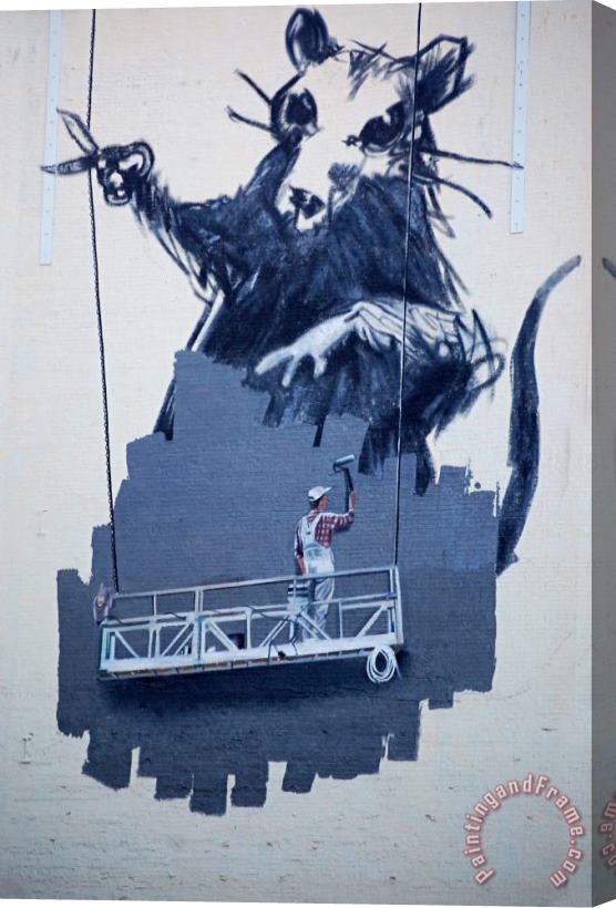 Banksy Gnark Stretched Canvas Print / Canvas Art