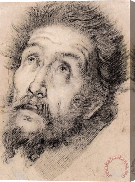 Bernardo Strozzi Study for St Francis of Assisi Adoring The Cross Stretched Canvas Painting / Canvas Art