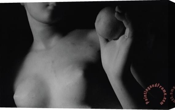 Bertel Thorvaldsen Venus with the apple Stretched Canvas Print / Canvas Art