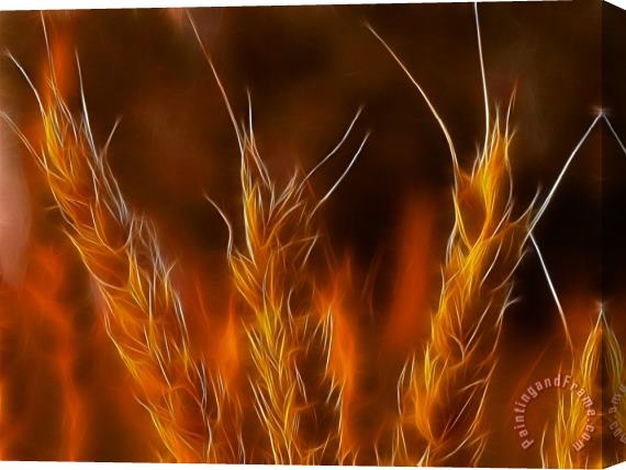 Blair Wainman Autumn Flames Stretched Canvas Painting / Canvas Art