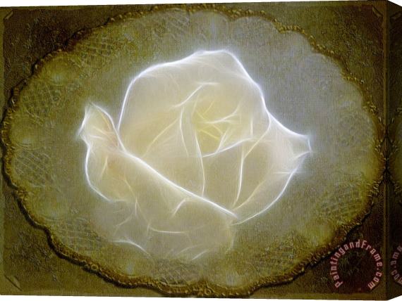 Blair Wainman Ethereal Rose Stretched Canvas Print / Canvas Art