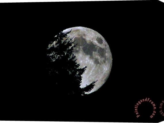 Blair Wainman Full Moon Silhouette Stretched Canvas Print / Canvas Art