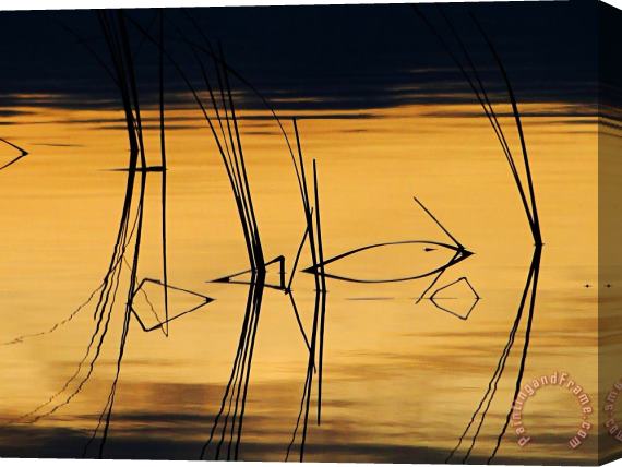 Blair Wainman Momentary Reflection Stretched Canvas Painting / Canvas Art