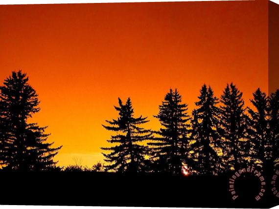Blair Wainman Summer Silhouette Stretched Canvas Painting / Canvas Art