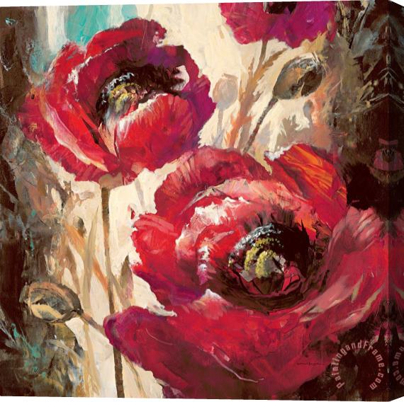 brent heighton Dramatic Poppy Stretched Canvas Print / Canvas Art