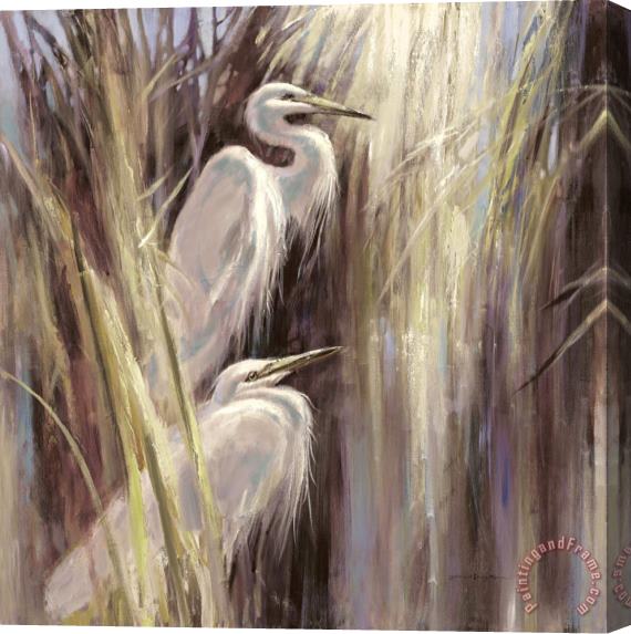 Brent Heighton Seaside Egrets Stretched Canvas Print / Canvas Art