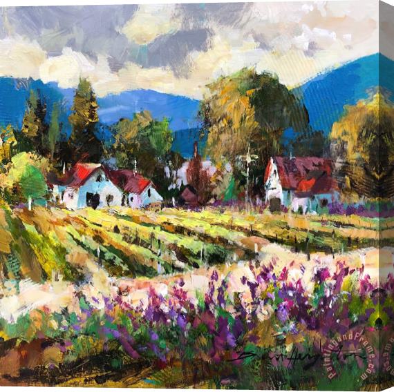 Brent Heighton Wine Country Stretched Canvas Painting / Canvas Art