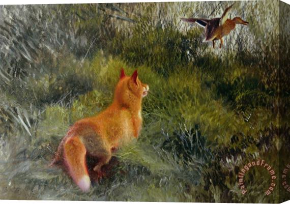 Bruno Andreas Liljefors Eluding the Fox Stretched Canvas Painting / Canvas Art
