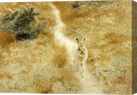 Bruno Liljefors A Winter Hare in a Landscape Stretched Canvas Print / Canvas Art