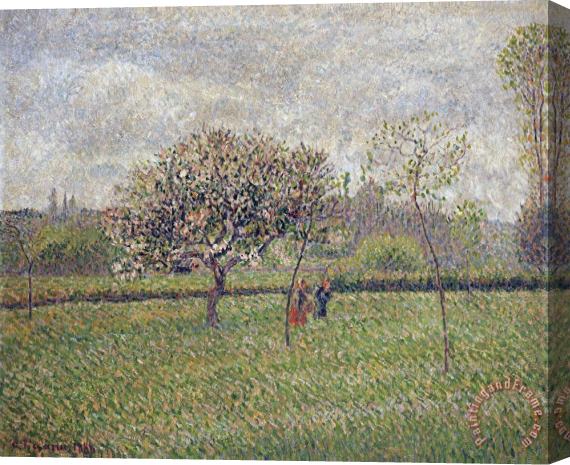 Camille Pissarro Apple Tree Blossom at Eragny Stretched Canvas Painting / Canvas Art