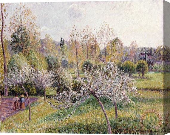 Camille Pissarro Apple Trees in Blossom, Eragny Stretched Canvas Print / Canvas Art