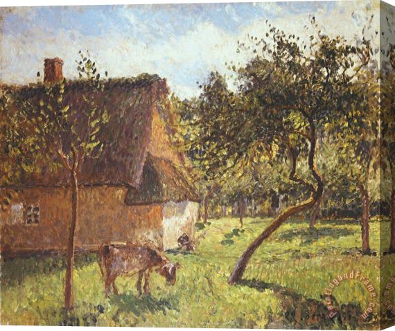 Camille Pissarro Field at Varengeville Stretched Canvas Painting / Canvas Art