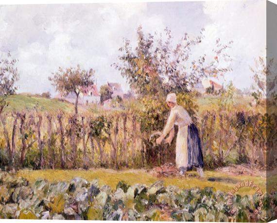 Camille Pissarro In Garden Stretched Canvas Painting / Canvas Art