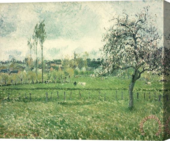 Camille Pissarro Meadow at Eragny Stretched Canvas Print / Canvas Art