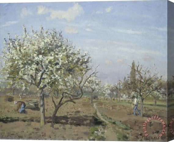 Camille Pissarro Orchard in Bloom, Louveciennes Stretched Canvas Painting / Canvas Art