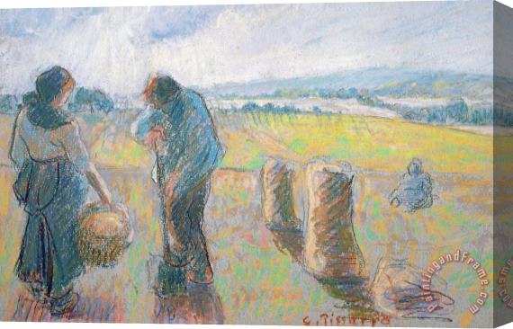 Camille Pissarro Peasants In The Fields Stretched Canvas Print / Canvas Art