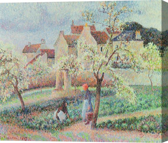 Camille Pissarro Plum Trees In Flower Stretched Canvas Painting / Canvas Art