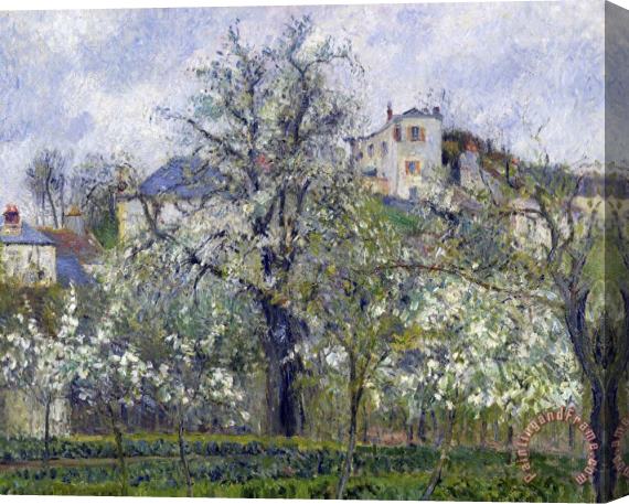 Camille Pissarro The Vegetable Garden with Trees in Blossom, Spring, Pontoise Stretched Canvas Print / Canvas Art