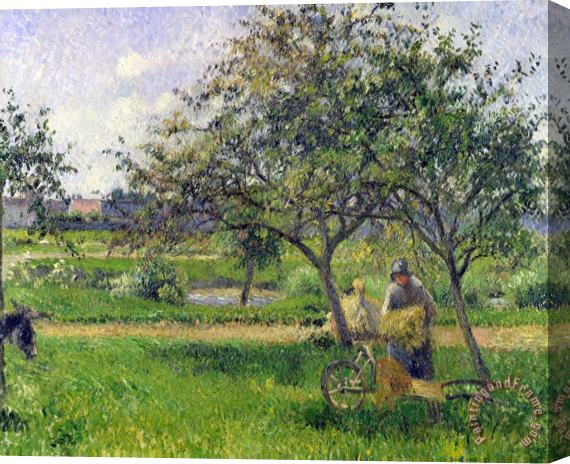 Camille Pissarro The Wheelbarrow, Orchard Stretched Canvas Painting / Canvas Art