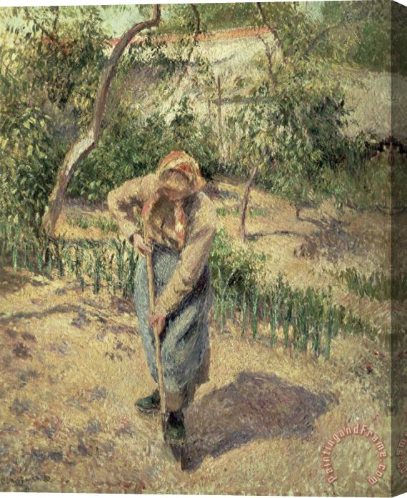 Camille Pissarro Woman Digging in an Orchard Stretched Canvas Painting / Canvas Art