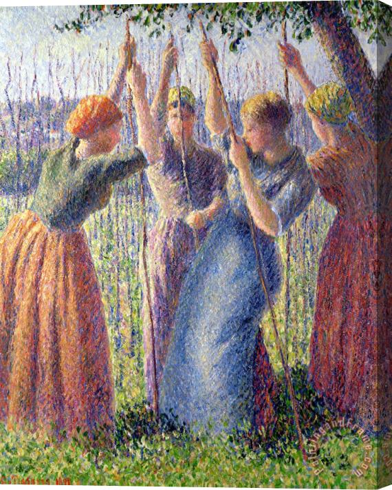Camille Pissarro Women Planting Peasticks Stretched Canvas Painting / Canvas Art