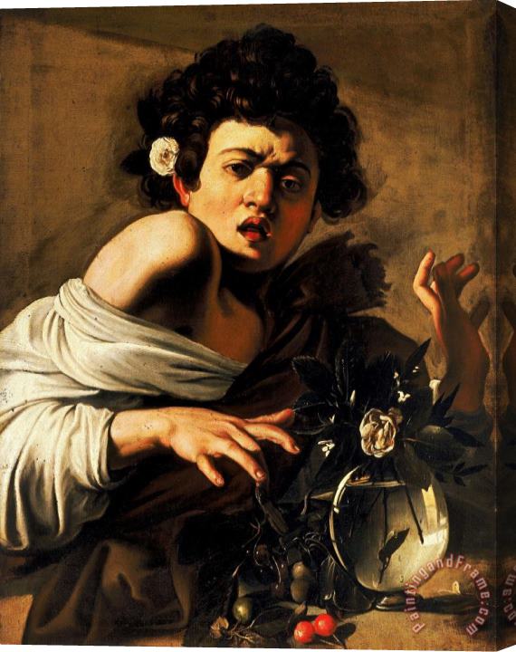 Caravaggio Boy Bitten By A Lizard Stretched Canvas Print / Canvas Art