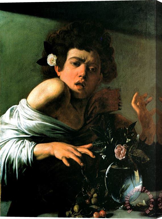 Caravaggio Boy Lizard 1594 Stretched Canvas Painting / Canvas Art