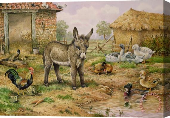 Carl Donner Donkey and Farmyard Fowl Stretched Canvas Print / Canvas Art