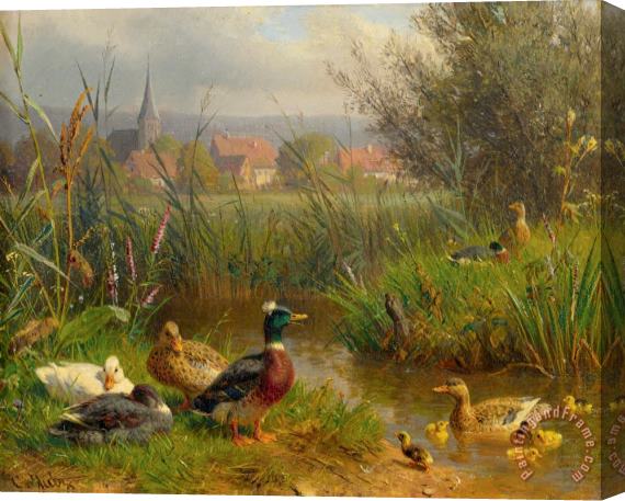 Carl Jutz Ducks at The Creek, 1916 Stretched Canvas Painting / Canvas Art