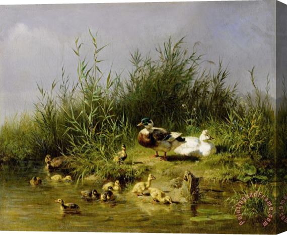 Carl Jutz Entenfamilie Am Teich, 1863 Stretched Canvas Painting / Canvas Art