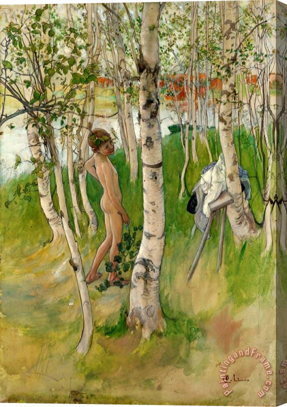 Carl Larsson Nude Boy Among Birches Stretched Canvas Painting / Canvas Art