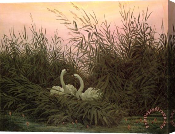 Caspar David Friedrich Swans in The Reeds Stretched Canvas Painting / Canvas Art