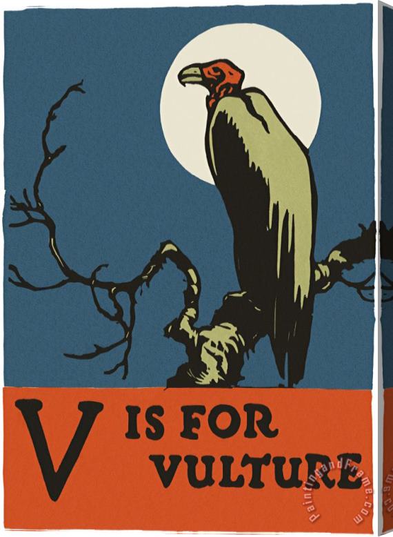 C.B. Falls Alphabet: V Is for Vulture Stretched Canvas Print / Canvas Art