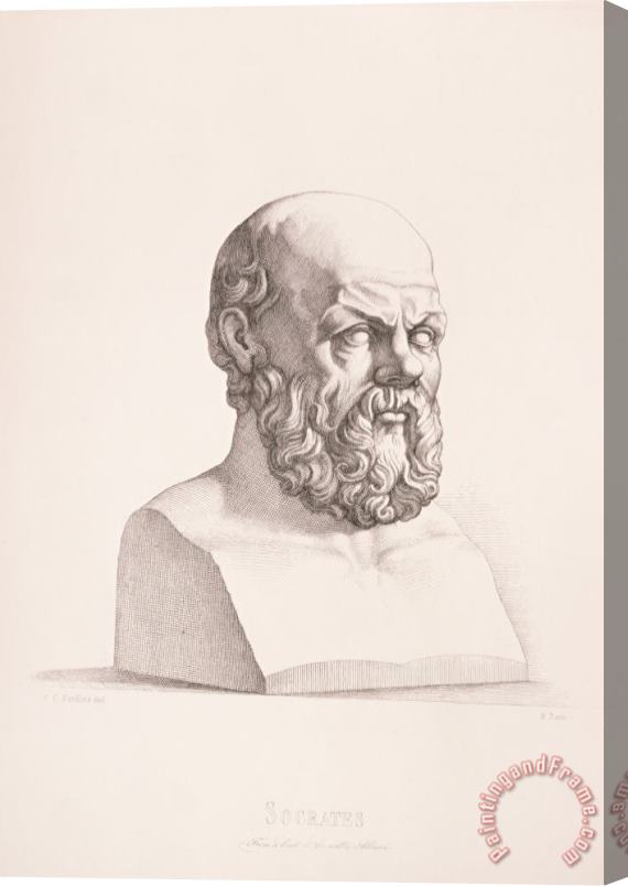 CC Perkins Portrait Of Socrates Stretched Canvas Print / Canvas Art