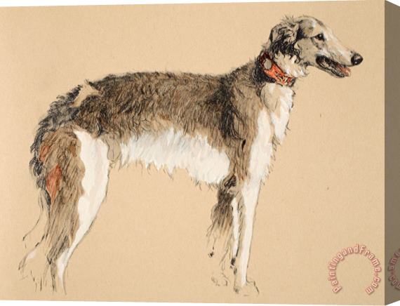 Cecil Charles Windsor Aldin Borzoi Stretched Canvas Painting / Canvas Art