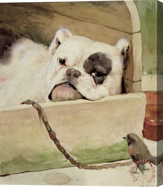 Cecil Charles Windsor Aldin Bulldog Stretched Canvas Print / Canvas Art