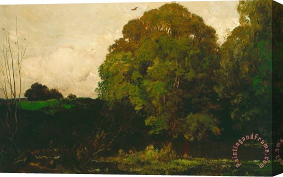 Charles Francois Daubigny A Pond In The Morvan Stretched Canvas Print / Canvas Art
