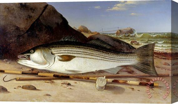 Charles Henry Gifford Striped Bass on Cuttyhunk Island, 1870 Stretched Canvas Print / Canvas Art
