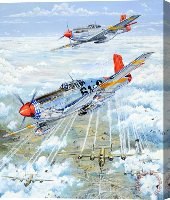 Charles Taylor Red Tail 61 Stretched Canvas Print / Canvas Art