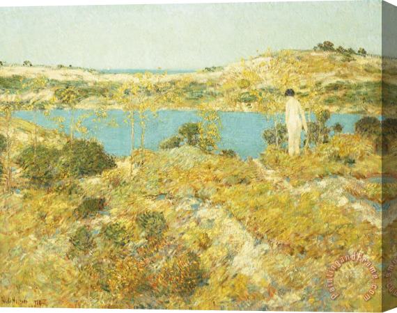 Childe Hassam Dune Pool Stretched Canvas Print / Canvas Art