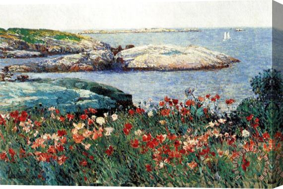 Childe Hassam Poppies Isle of Shoals Stretched Canvas Print / Canvas Art