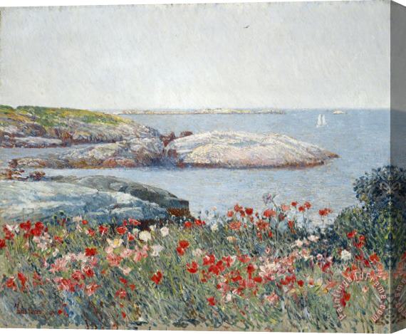Childe Hassam Poppies, Isles of Shoals Stretched Canvas Painting / Canvas Art