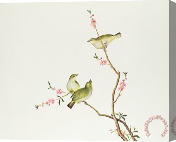 Chinese School White Eye Bird Stretched Canvas Painting / Canvas Art
